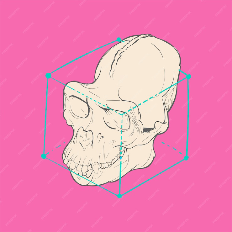 鼻整形 総合ガイド — 鼻筋・鼻先・小鼻、韓国で理想の鼻を作る方法